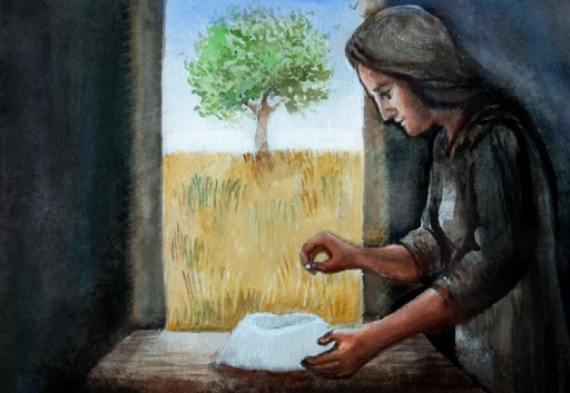 Omelia nella 16 domenica per annum - Piccoli semi Vangelo