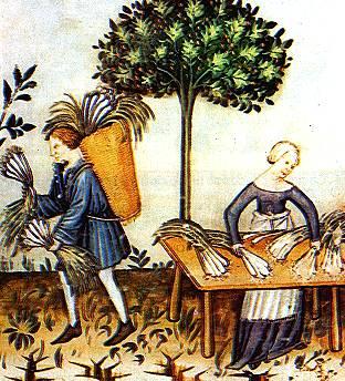   Il Libro de cosina  a Parma e Riva del Garda    