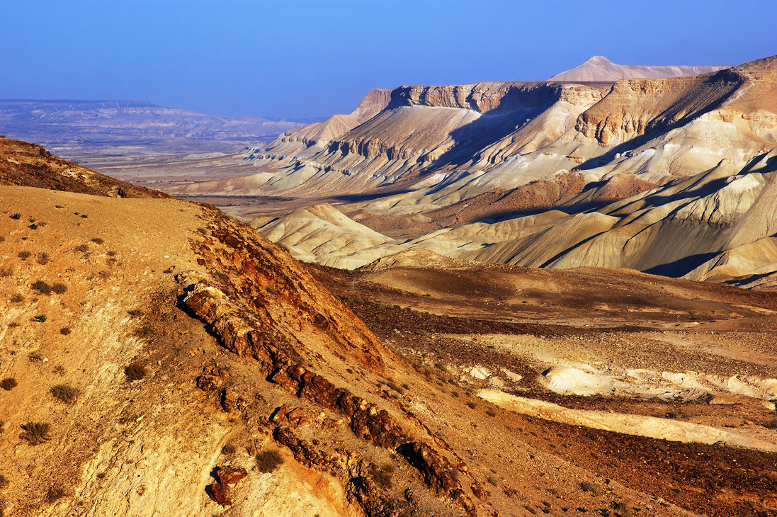 Il Leone di Giuda e il topo del Negev